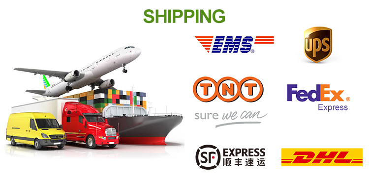 Shipping illustration with air, sea, truck and van transport alongside EMS, UPS, TNT, FedEx, SF Express and DHL logos